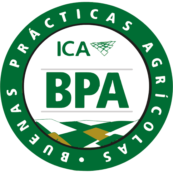 Logo ICA